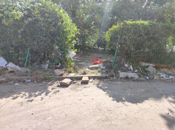 圖片7.png 圖片7.png